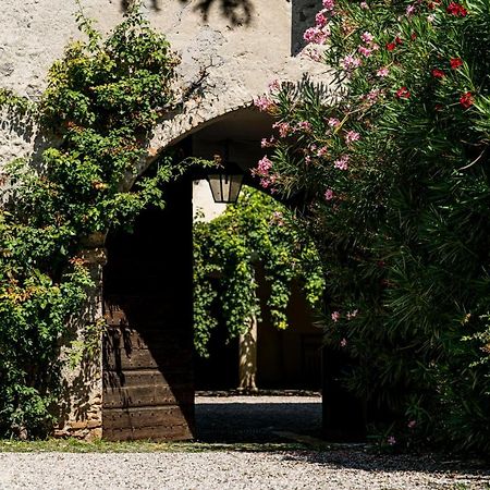 Agriturismo Le Chiusure San Felice del Benaco Ngoại thất bức ảnh