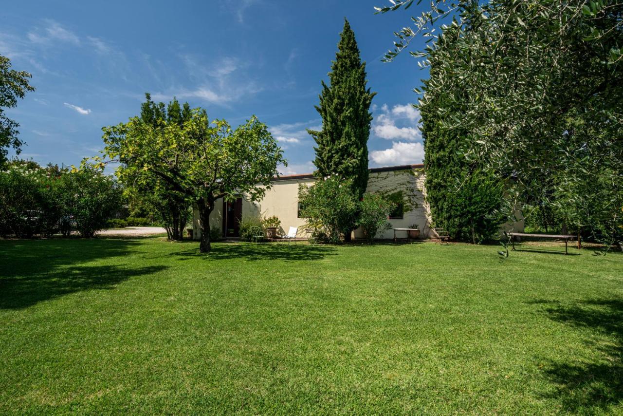 Agriturismo Le Chiusure San Felice del Benaco Ngoại thất bức ảnh