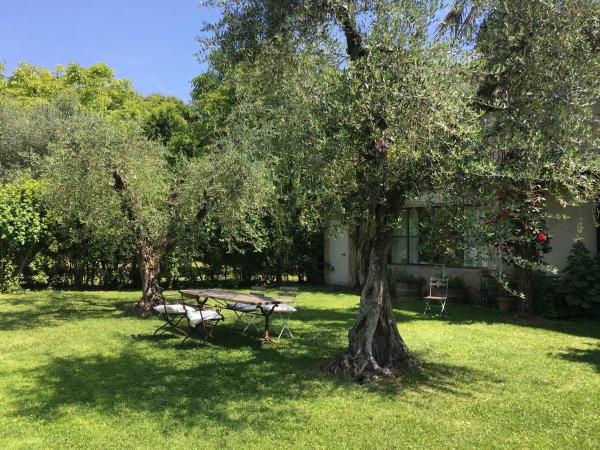 Agriturismo Le Chiusure San Felice del Benaco Ngoại thất bức ảnh